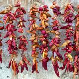 Foto hängende rote Pfefferschoten