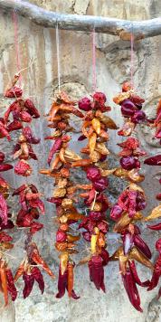 Foto hängende rote Pfefferschoten