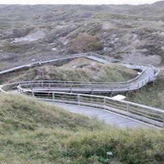 Holzstege in den Dünen