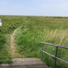 Treppe in den Dünen